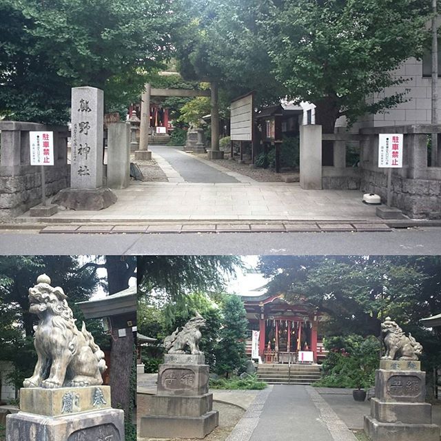 「 #熊野神社 」ですにゃ。 #商売繁盛 の  #パワースポット ですな。侍猫さんつながりにご利益ありますように～ #さむねこさんぽ #神社 #散歩