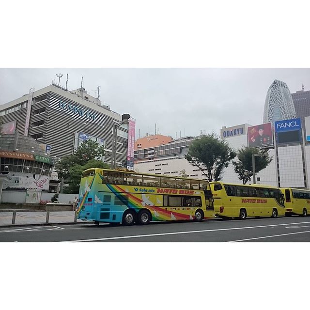 #新宿駅前 に #はとバス いっぱい！ #外国人観光客 多いもんねぇ～ #さむねこさんぽ #山手線一周