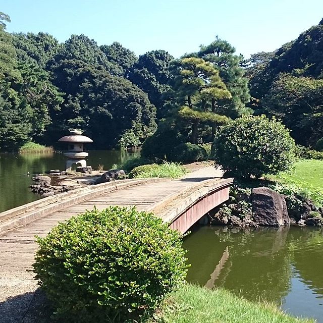 #新宿御苑 って感じですな！ #さむねこさんぽ #散歩 #パワースポット #庭園