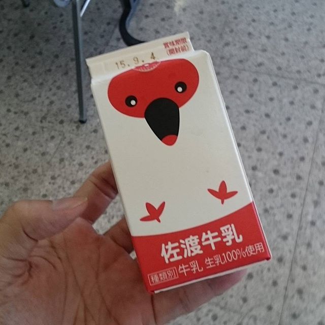#さむねこさんぽ #小木港 の売店に #トキ  発見！ #土佐牛乳 だって！これは飲んだことある人少ないでしょ～。うまい！ けっこうスマホの電池切れが困るね #一人旅 #散歩