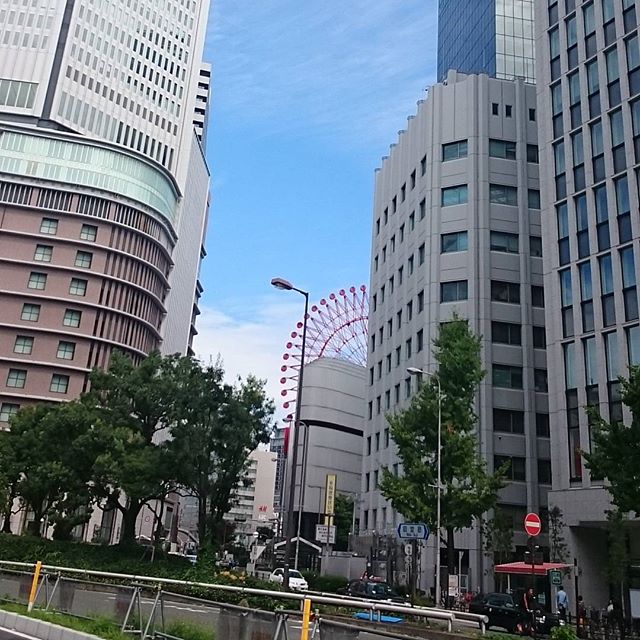 #赤い観覧車 も #大阪観光 の #おすすめスポット に入ってましたな #さむねこさんぽ
