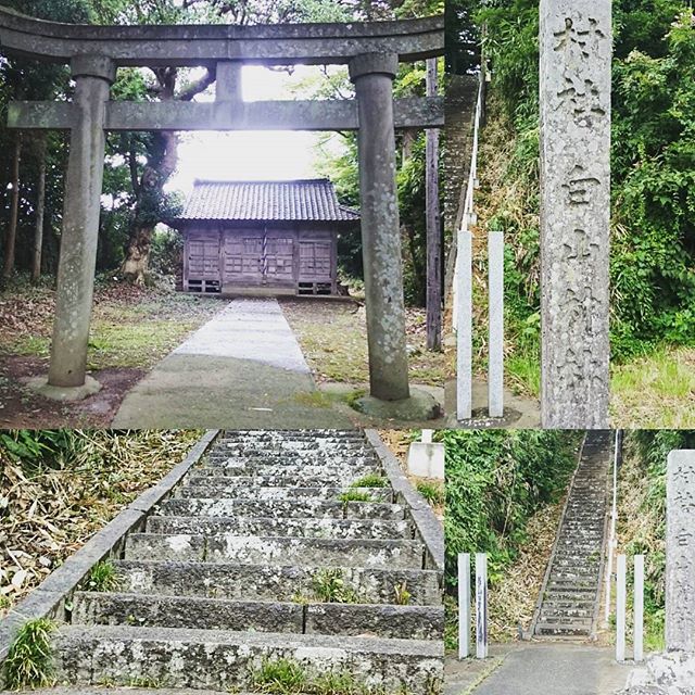 #さむねこさんぽ 「 #村社白山神社 」ですにゃ。神社多すぎ！パワースポット全部巡って移動してたら、 #トキの森公園 がしまっちゃう！大変じゃ～ #佐渡島 #散歩