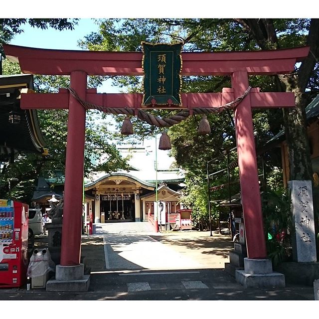 「 #須賀神社 」ですな。 #開運 #商売繁盛 の #パワースポット にゃ～ 侍猫さんつながりに御利益ありますように！ #散歩 #さむねこさんぽ