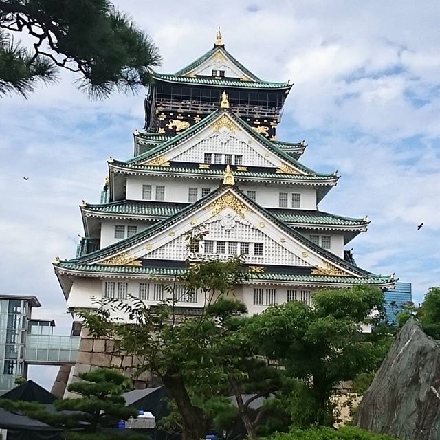 #大阪城 きたー！  #さむねこさんぽ #大阪