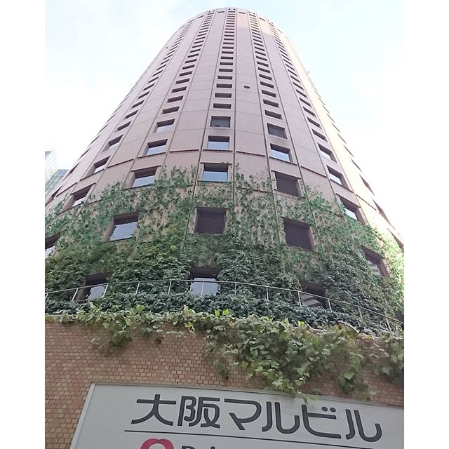 #大阪マルビル ですな。 #大阪第一ホテル だったんですにゃ～ #さむねこさんぽ