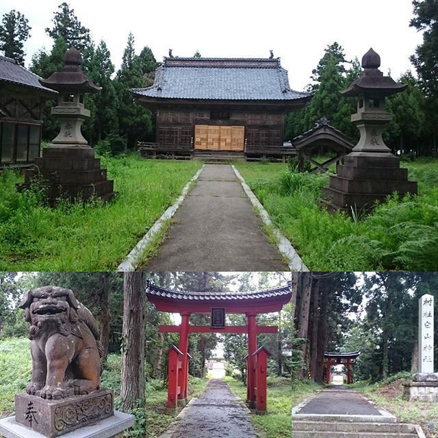 「 #村社白山神社 」だって！同じ名前のが #佐渡歴史伝説館 の近くにありましたにゃ。こっちは、トキの森公園の近くにあるよ！ #パワースポット #一人旅 #佐渡島