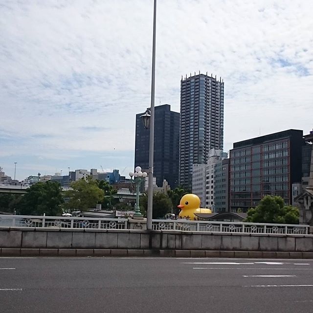 #難波橋 に #でかいヒヨコ #さむねこさんぽ #大阪