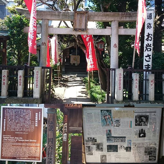 こっちが #田宮稲荷神社 の本館みたいやね #散歩 #さむねこさんぽ