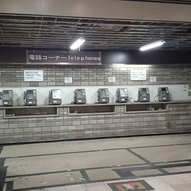 #山手線一周中 大量の #公衆電話 久しぶりに見た！ #池袋駅 #さむねこさんぽ  #散歩
