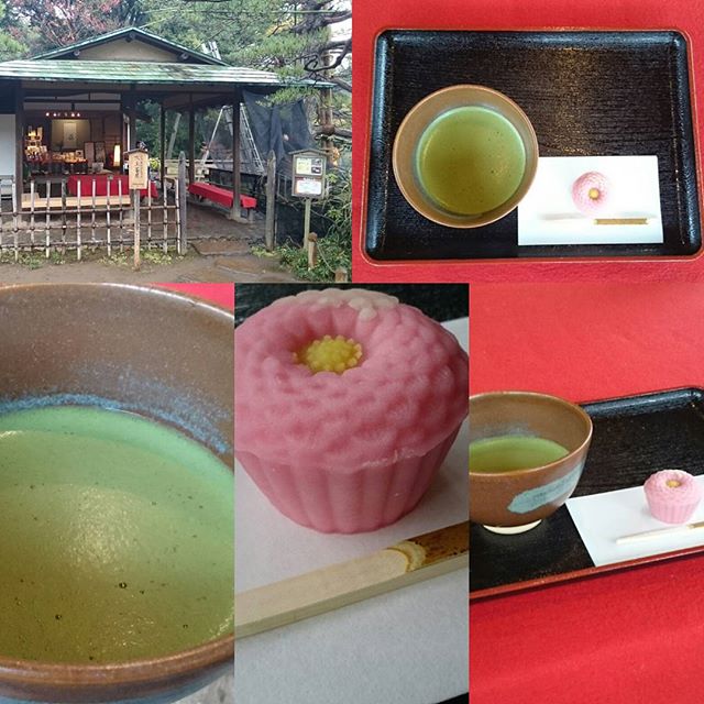 #山手線一周 #六義園 #茶屋 到着！  #雨の景色 が最高にゃ～ #japan #teatime