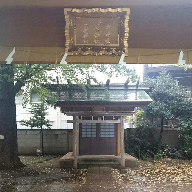 #山手線一周 #須賀神社 ですにゃ。  #天祖神社 の敷地内にありますにゃ #Google #マップ にのってる神社は、全部まわるのが 侍猫式のお散歩にゃ！ #さむねこさんぽ