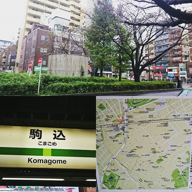 #山手線一周 今日は #駒込 から #田端 までの #散歩 ですにゃ～ 雨上がりですにゃ #さむねこさんぽ