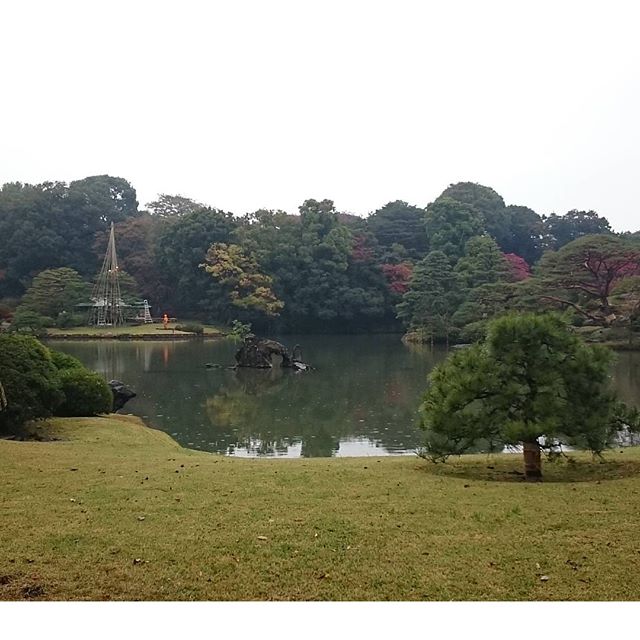 #山手線一周 #六義園 こんな感じかな？ #日本庭園 ですにゃ こいいるのかな？そんな簡単にみつからにゃいもんですにゃ… #さむねこさんぽ #散歩 #japan  #takeawalk