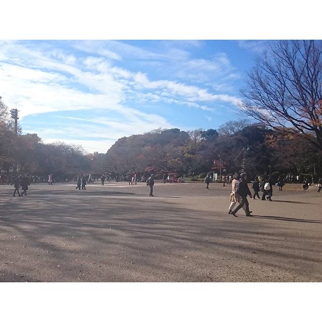 #山手線一周 #上野公園 #桜 のシーズン場所取りの #ブルーシート がすごいところ 右にいくと #上野動物園 やね #さむねこさんぽ #散歩 #嫁探しの旅