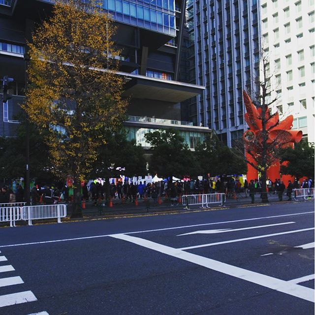 #東京散歩 なんか でっかい #モニター で #駅伝 具合を見るエリアかな？出店が気になるけど混みすぎだわ… #侍猫散歩 #散歩