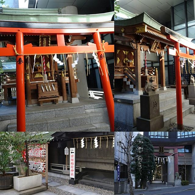 #東京散歩 #世継稲荷神社 #子宝 #後継者 の #パワースポット ですにゃ。#築土神社 の奥にあるね。侍猫さんつながりにご利益ありますように～ #東京 #散歩