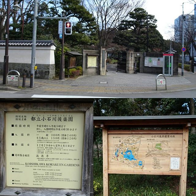 #東京散歩 #小石川後楽園 到着！ #抹茶 が飲めるところがあるみたい！ #東京 #後楽園 #散歩