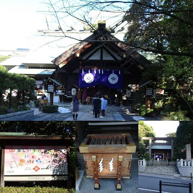 #東京散歩 #東京大神宮 #縁結び #パワースポット #女子率 高すぎ！ 男一人でいるのは 侍猫さんだけでね？ 縁結び効果はすぐ出るようではなさそうですな。