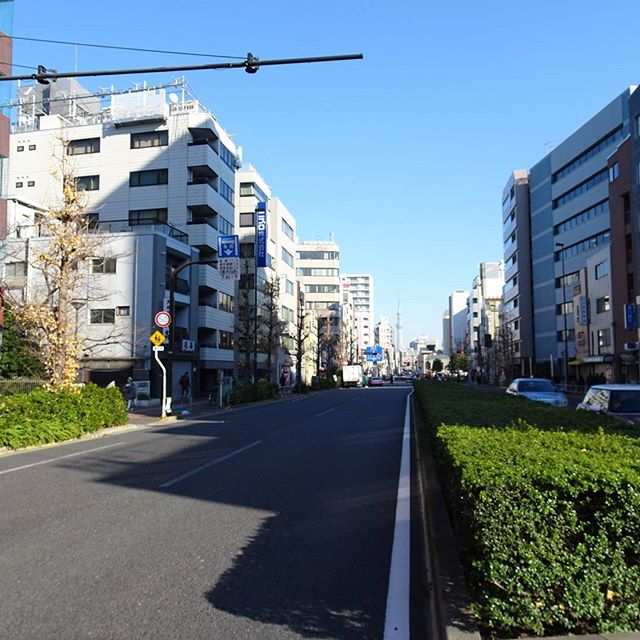 #東京散歩 #スカイツリー が見えますにゃ #東京 #散歩 #tokyo #takeawalk