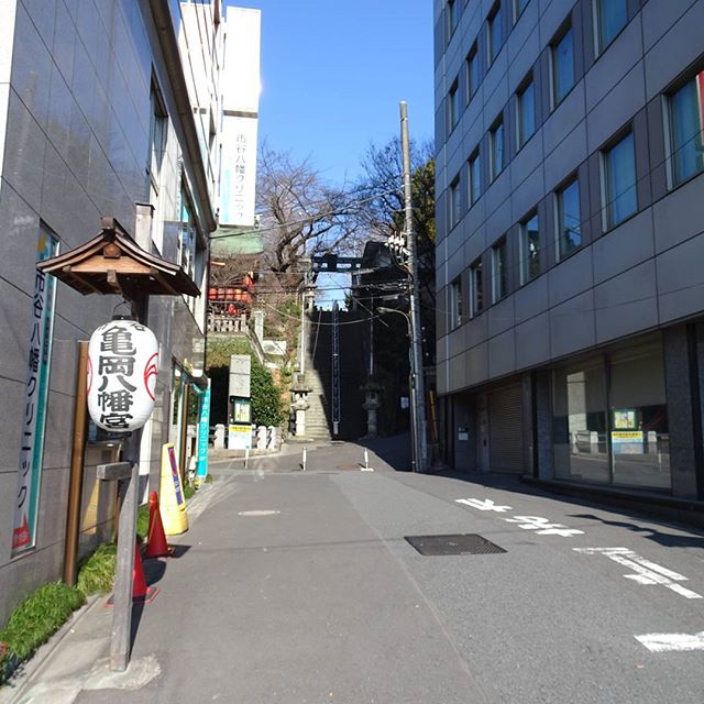 #東京散歩 #亀岡八幡宮 #学門 #パワースポット ですにゃ。#google先生  によると #タモリ 氏も先日撮影で来ていたらしい
