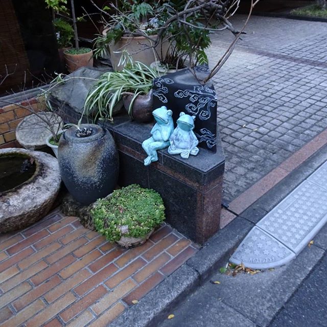#東京散歩 #カエル ですにゃ #東京 #散歩 #tokyo #takeawalk