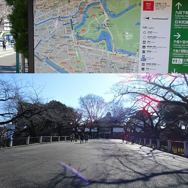 #東京散歩 #日本武道館 をぐるっと行ってみますかね～ #東京 #散歩 #tokyo