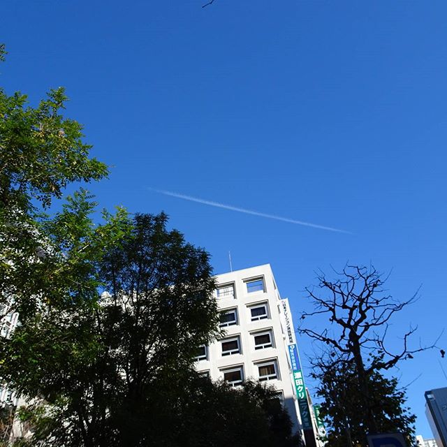 #東京散歩 #御茶ノ水 #空 #青空 に一本の雲だけやね #散歩