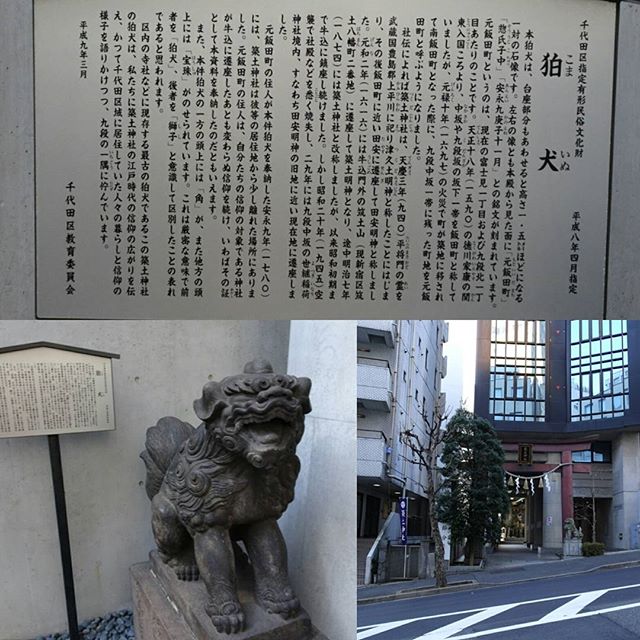 #東京散歩 #築土神社 の #狛犬 は都内で一番古いみたいね。 #神社 は #歴史 が残ってるから面白いよね #東京 #散歩 #tokyo #shrine