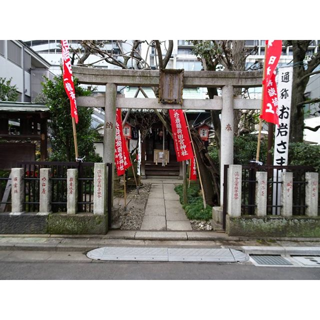 #東京散歩 #於岩稲荷田宮神社 #夫婦円満 #商売繁盛 の #パワースポット ですにゃ。 まぁ #冬 バージョン の風景ですな #東京 #散歩 #神社 #shrine