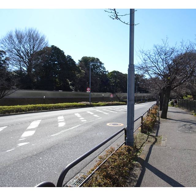 #東京散歩 #科学技術館 をさよならして #皇居 まわりですな #皇居ランナー いっぱいだね！ いない貴重な一瞬を撮影！ #東京 #散歩