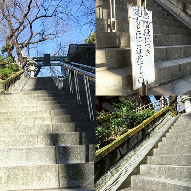 #東京散歩 #亀岡八幡宮 の #階段 が急すぎる！ #東京 #散歩 #tokyo #takeawalk