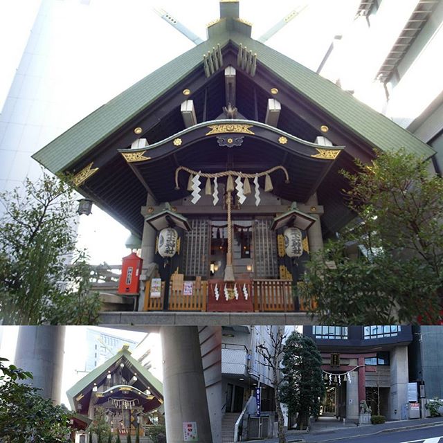 #東京散歩 #築土神社 の鳥居を潜るとこんな感じね #勝負運 #パワースポット #shrine #tokyo #東京 #散歩
