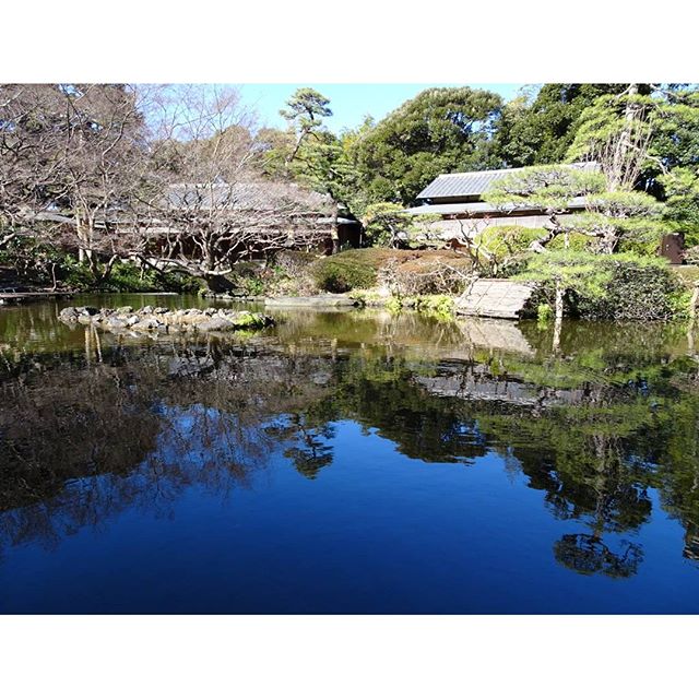 #東京散歩 #ホテルニューオータニ #日本庭園 さすがだね！ #東京 のど真ん中だからね！びびるね #散歩 #tokyo