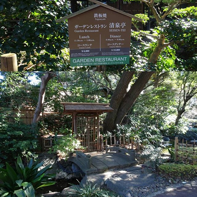 #東京散歩 #日本庭園 #料亭 ほらね。二回位ディナーしたらプレステもう少しで買える金額だよね。 今度来るときは食べにこられますように… #東京 #散歩 #tokyo