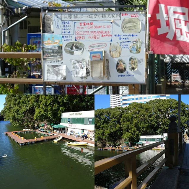 #東京散歩 #ホテルニューオータニ 近くにある #弁慶橋 に #釣り堀 あるで！ #ボート 乗れるよ