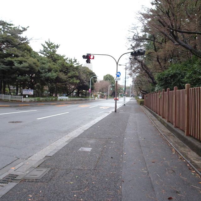 #東京散歩 雨だと空いてて良いよね！ #東京 #散歩 #神宮外苑 #神宮球場 #tokyo