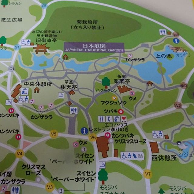 #東京散歩 #新宿御苑 #茶室 あるよ！！ #抹茶 スポット 来たんじゃないの？ #東京 #散歩 #tokyo