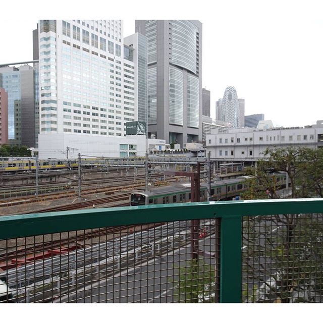 #東京散歩 #新宿 の #モード学園 のあのビルが見えるよね。 #東京 #散歩 #tokyo