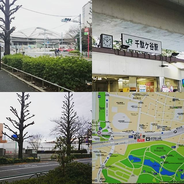 #東京散歩 今日は #千駄ヶ谷駅 から #代々木駅 とおって #新宿駅 まで #散歩 ですにゃ。 今日で #中央線 ラストやね～ #tokyo