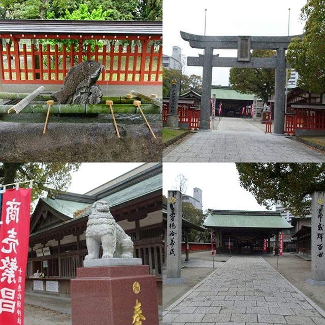 #十日恵比寿神社 #商売繁盛 の #パワースポット ですにゃ。#東公園 のすぐとなりですにゃ #旅猫