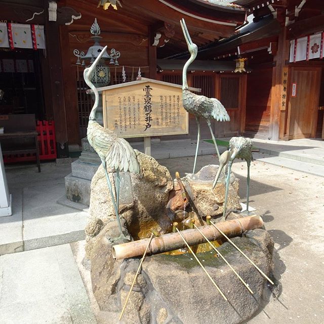 #櫛田神社 #霊泉鶴の井戸 #不老長寿 の #パワースポット ですにゃ！もうこのまま歳をとることができないにゃ？