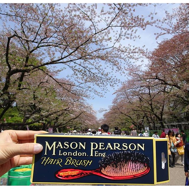今日はイギリスの超高級ブラシを自慢するべく #上野 公園を散歩ですにゃ！ #masonpearson #メイソンピアソン #大人の力  http://www.masonpearson.jp/