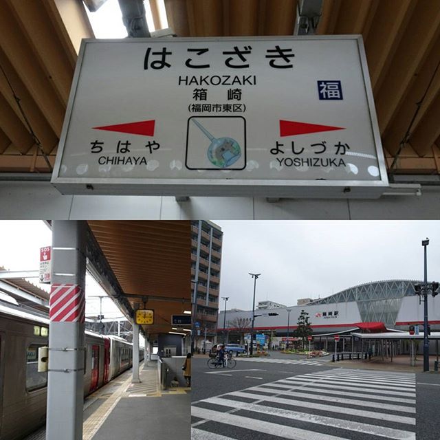 #散歩 #箱崎 から #福岡 まで #散歩 ですにゃ！ ここからはいつもの #歩き で #パワースポット 巡りにゃ！