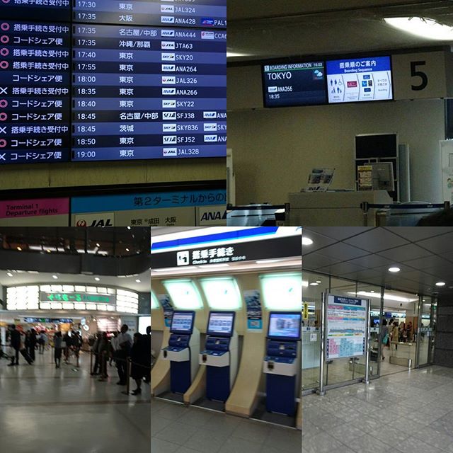 #福岡空港 到着にゃ！ #旅猫 #福岡 編でした～。結構ハードスケジュールでしたにゃ。他にもいろいろあったけど後日書くかな？要望あったらね。写真多過ぎてカットしたのいっぱいですにゃ！