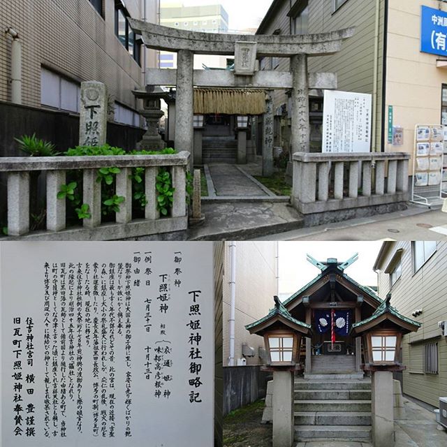 #下照姫神社 #縁結び の #パワースポット ですにゃ。早く嫁ができますように！ #旅猫 #嫁探しの旅