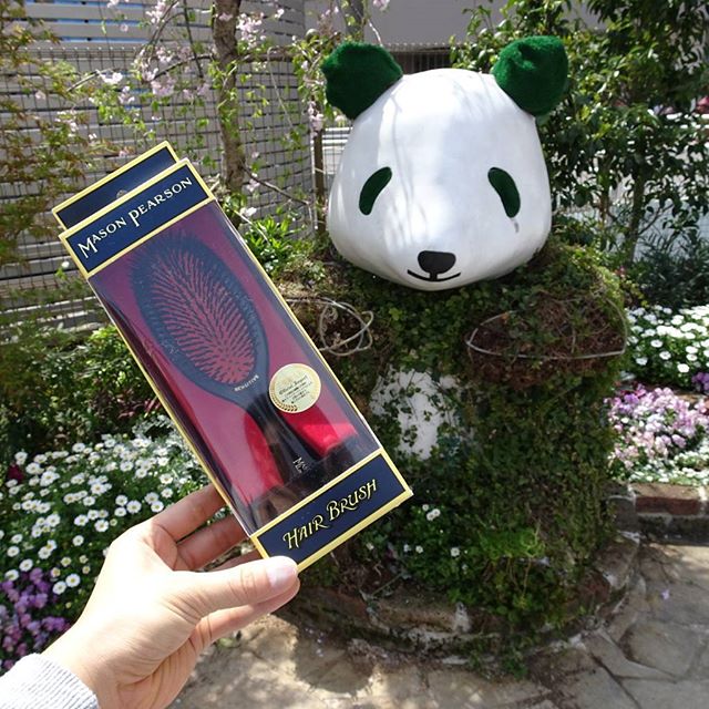#上野公園 #パンダ と #メイソンピアソン ちなみに2万円以上する超高級ブラシです。値段にもびびるにゃ！ #大人の力 #masonpearson