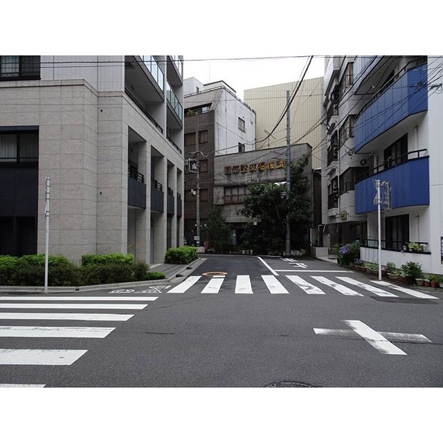 #東京散歩 #人形町 さすがオフィス街… めちゃすいてる…人もあんまりいないね #侍猫さんぽ #嫁探しの旅
