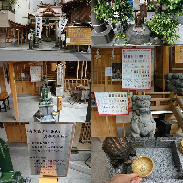 #東京散歩 #小網神社 には #銭洗い弁天 もありますので #金運 の #パワースポット としても有名なんだって！今日の散歩終わる頃には、金銀財宝がチャリーン！じゃないの？ #侍猫さんぽ #嫁探しの旅
