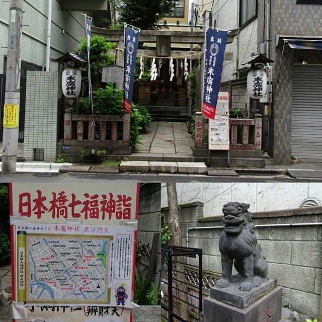 #東京散歩 #末廣神社 #勝負運 の #パワースポット ですな。侍猫さんつながりにご利益ありますように！ #侍猫さんぽ #嫁探しの旅
