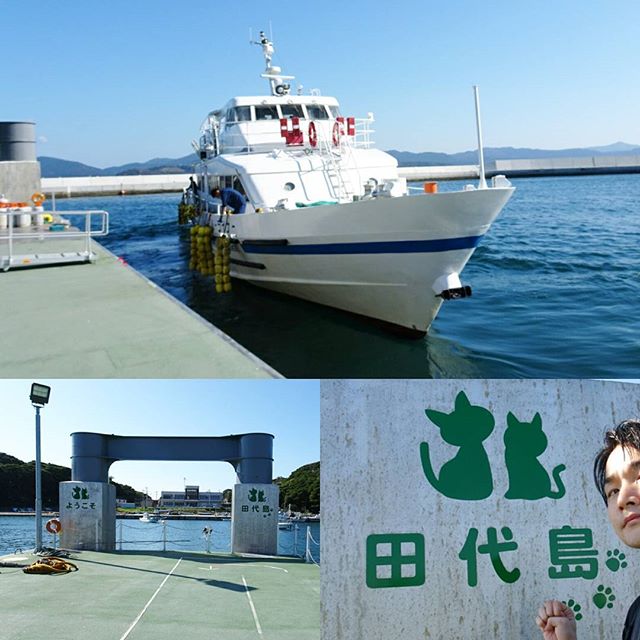 宮城県の猫島へ行ってみた！猫島こと田代島に上陸！震災以降からの深刻なキャットフード不足を今日から解消せねば！重いから6キロのキャットフードをとりあえず渡そう！ #侍猫さんぽ #猫島